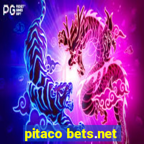 pitaco bets.net